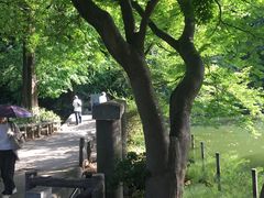 -井之头恩赐公园