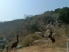 -北京西山国家森林公园