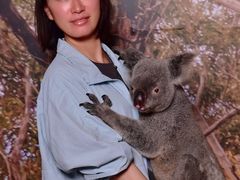 -热带雨林自然公园