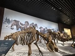 -呼伦贝尔民族博物馆