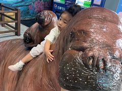 -蓬莱欧乐堡海洋极地世界