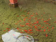 -丽江悦榕庄酒店-明月·雪山庭院餐厅