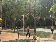 -南宁南湖公园