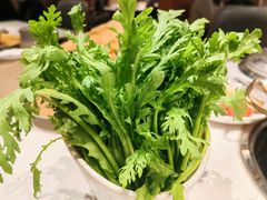 -犇鼎牛潮汕牛肉火锅(新辰里学清路店)
