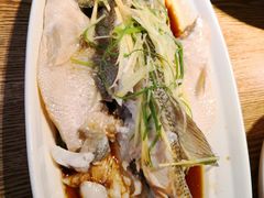 清蒸鲈鱼-滇铺子·云南特色菜·第九届野生菌美食节(东风东路c86店)