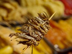 -好可爱经典炸炸炸·炸鲜奶(长郡老店)