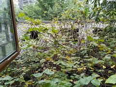 -白鹭原茶艺馆