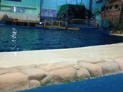 -华夏文旅海洋公园