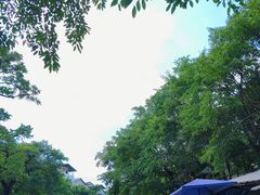 -偏岩古镇
