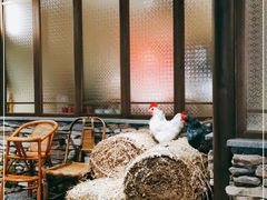 -洞庭土菜馆(天河北总店)