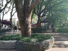 -浙江宾馆·花园餐厅·自助餐厅·茶吧