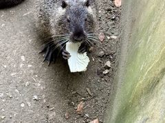 -常州淹城野生动物世界