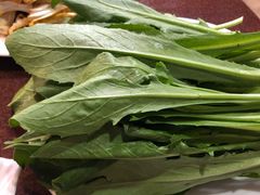 藏红花苗-银同牦牛肉火锅