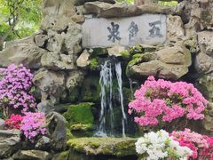 -上海醉白池公园