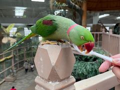 -南宫五洲植物乐园