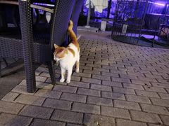 -老外街