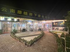 -蘑统田下·野生菌火锅