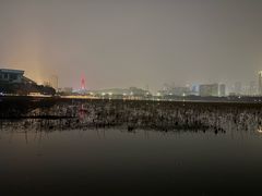 -月湖风景区