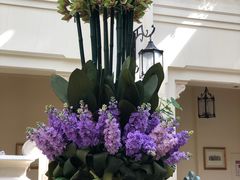 -利顺德大饭店·维多利亚花园(小白楼店)