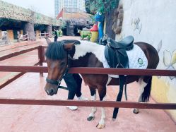 -宝燕乐园(闵行旗舰店)