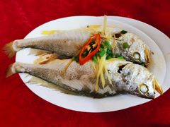 -蛇口康乐快餐鱼仔档(翠苑小区店)