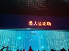 -福州罗源湾海洋世界旅游区