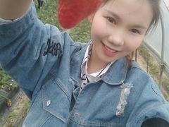 -胜丰草莓采摘园