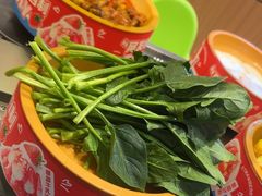 -龍歌自助小火锅(市南金茂湾店)