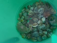 -红树林天天赶海