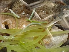 -顺香居·老字号湖北菜(江汉路店)