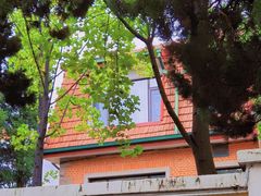 -八大关景区