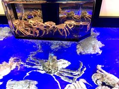 -蟹道乐(道顿堀本店)