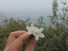 -北京凤凰岭