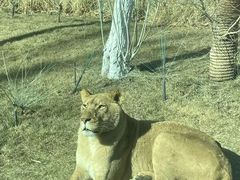 -北京野生动物园