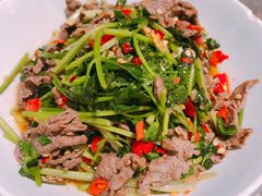-壹盏灯(惠农店)