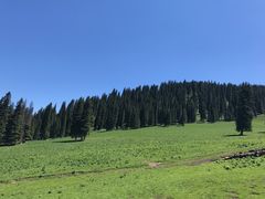 -新疆那拉提国家旅游度假区