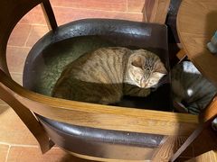 -H立方实景剧情密室(天河旗舰店)