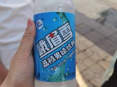 -王浩儿纪六孃甜皮鸭(乐山总店)
