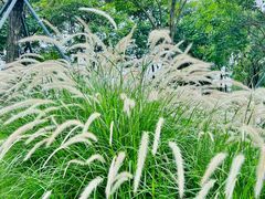 -万科生活广场(东莞松山湖店)