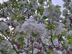 -元大都城垣遗址公园