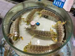 -强记海鲜·大排档(蛇口新街店)