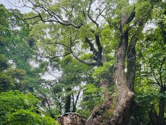 -来宫神社