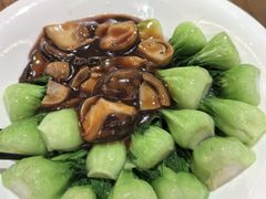 -乐忻皇朝(上海中心大厦店)