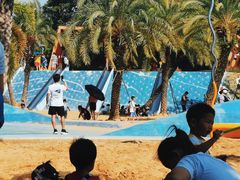 -宝安西湾红树林湿地公园