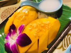 -Jungle Kitchen