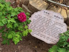 -太阳宫公园