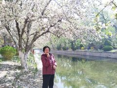 -元大都城垣遗址公园