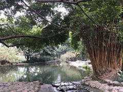 -成都市活水公园