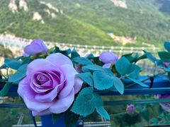 -马仁奇峰