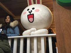 -line friends(明洞旗舰店)
